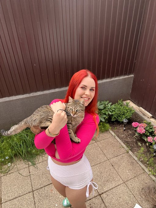 3 pic. Meow!??? https://t.co/N8CKoW3Ntp