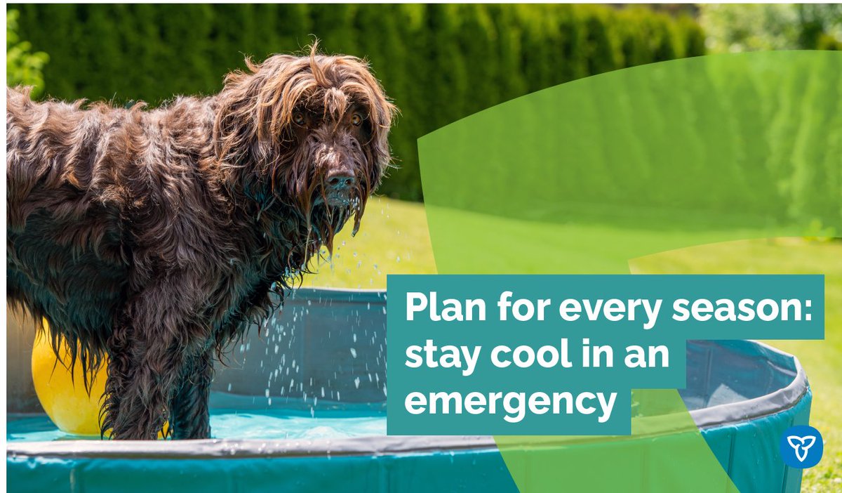 Pets can be impacted by the heat & some may have a hard time cooling down. This summer, keep everyone cool, comfortable & hydrated. For extreme heat tips: ontario.ca/page/Extreme-H… #EPWeek2024 #Plan4EverySeason #PreparedON
