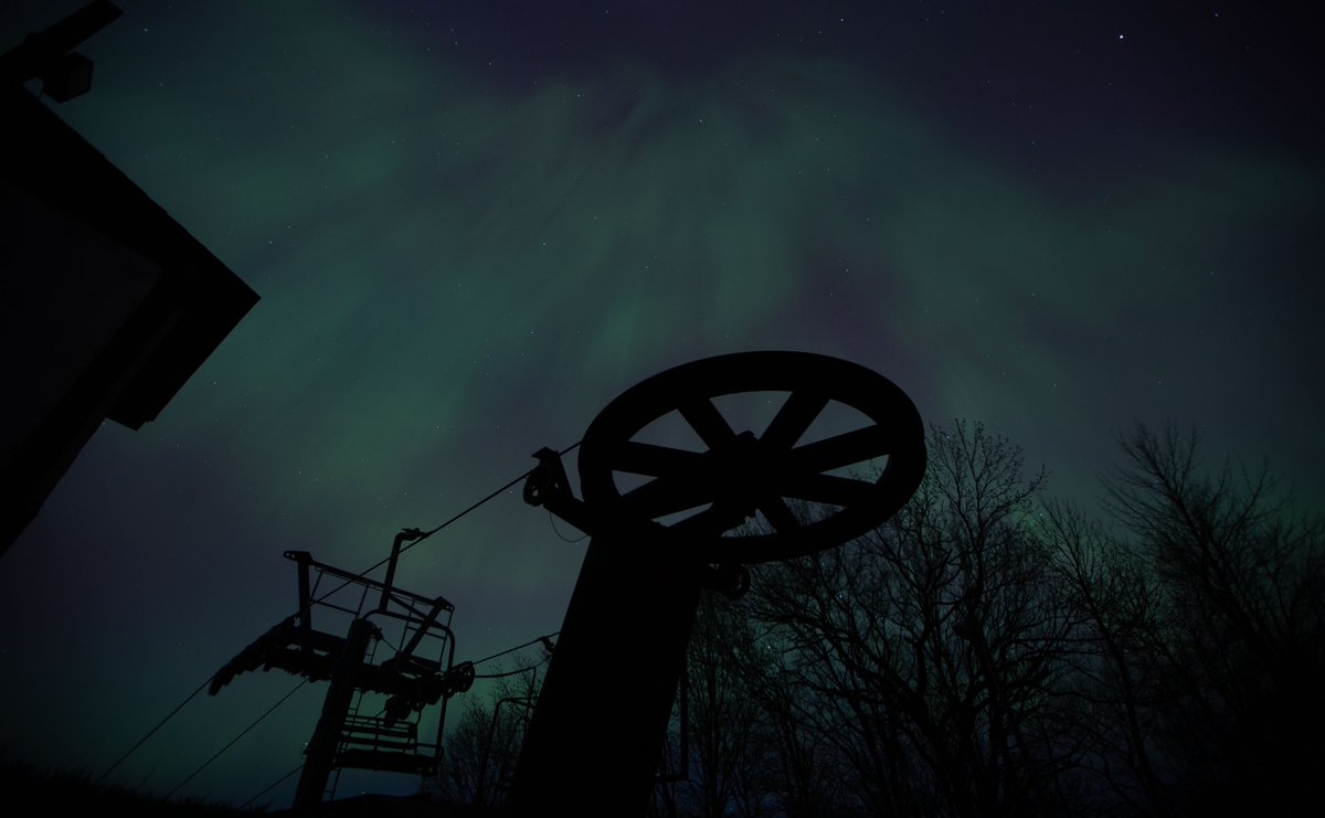 Jason Juno tweet media