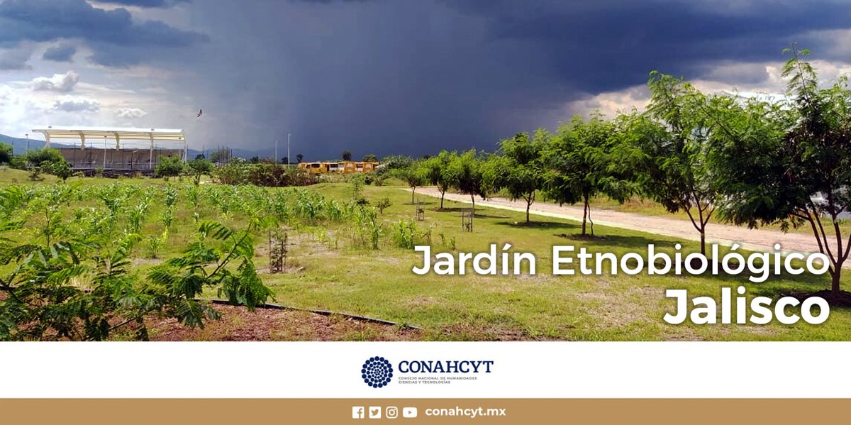 Secretaría de Ciencia tweet media