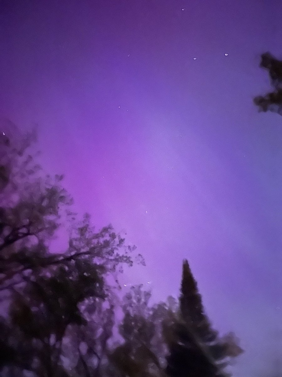 FudgeBitz's tweet image. So glad I didn’t miss this.💗❤️