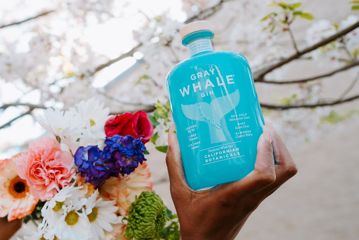 Sustainable, sippable, and bursting with Cali sunshine - @graywhalegin is the perfect gin for your springtime adventures! 

#GrayWhaleGin #CaliforniaGin #SpringSipping #SustainableSpirits #GinLover