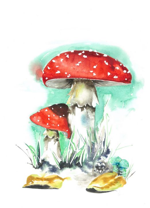 Art of the Day: 'Fly agaric'. Buy at: ArtPal.com/czibiart?i=735…