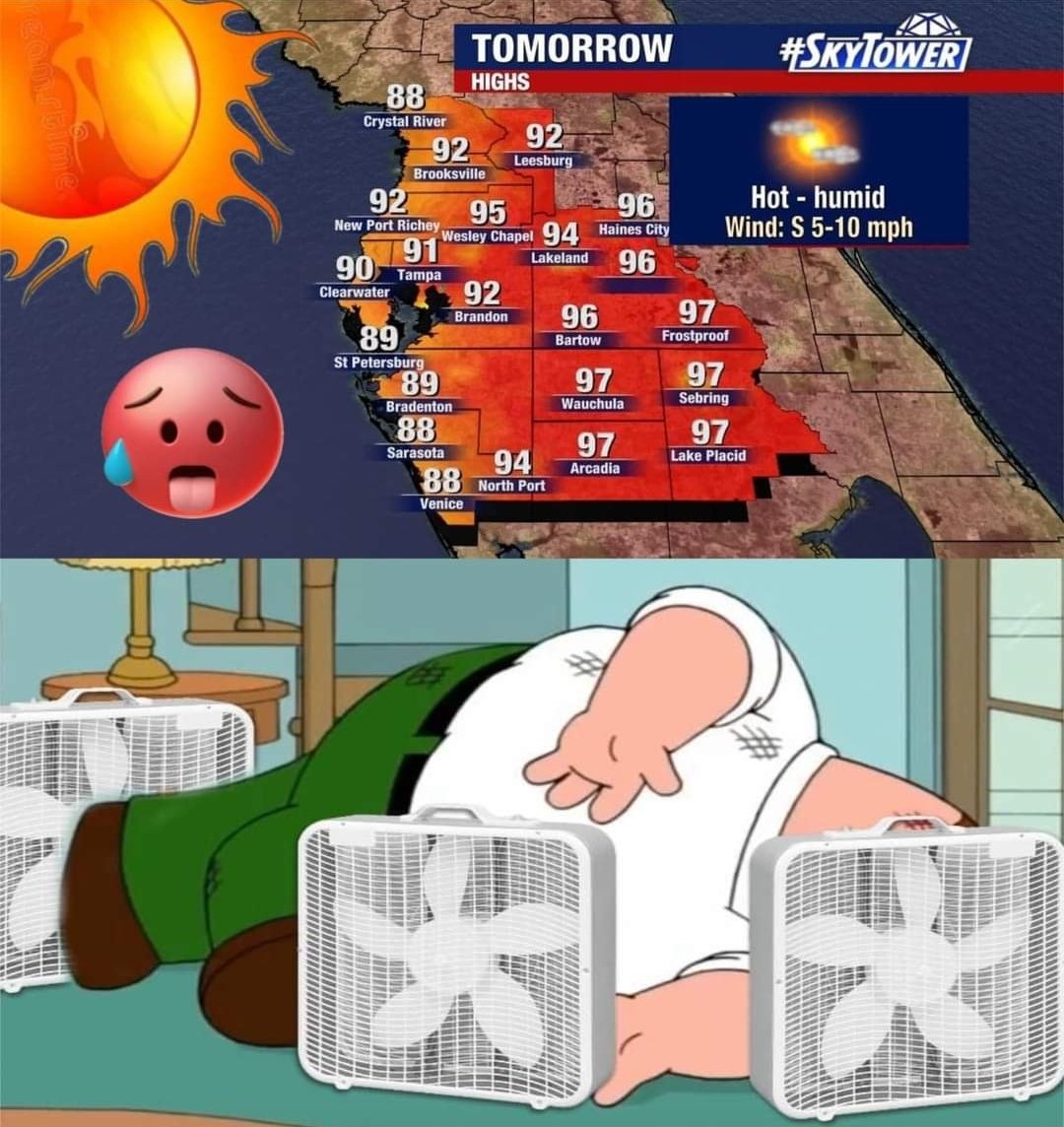 Florida mainly has one season... summer 🌞🥵 It's sad how accurate this meme is 😅 #Florida #summer #heatwave #heat #season #temperature