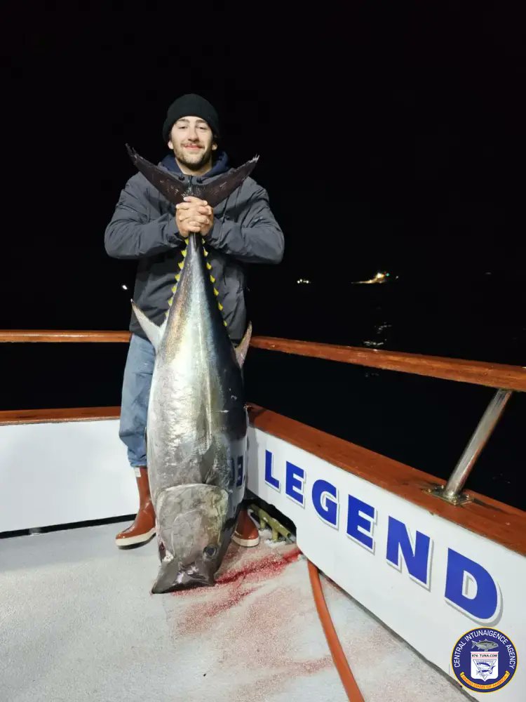 Legend Bluefin Tuna to 140 Pounds Sat May 11, 2024 976-tuna.com/posts/235232 #legend #hmlanding #bluefintuna #fish #fishing #fishingtrip #oceanfishing #socalfishing #fishingtrip #goodtimes #livebait #saltlife #saltwater #tasty #thetugisthedrug