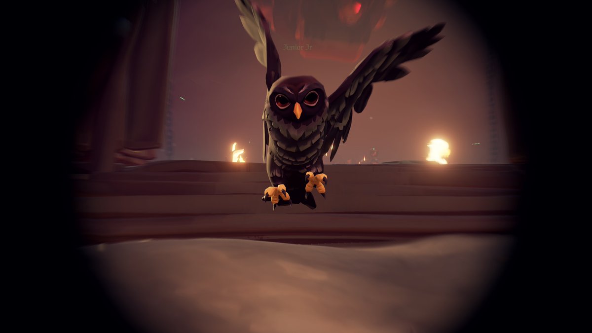 He protec. He attac.

#SeaOfThieves