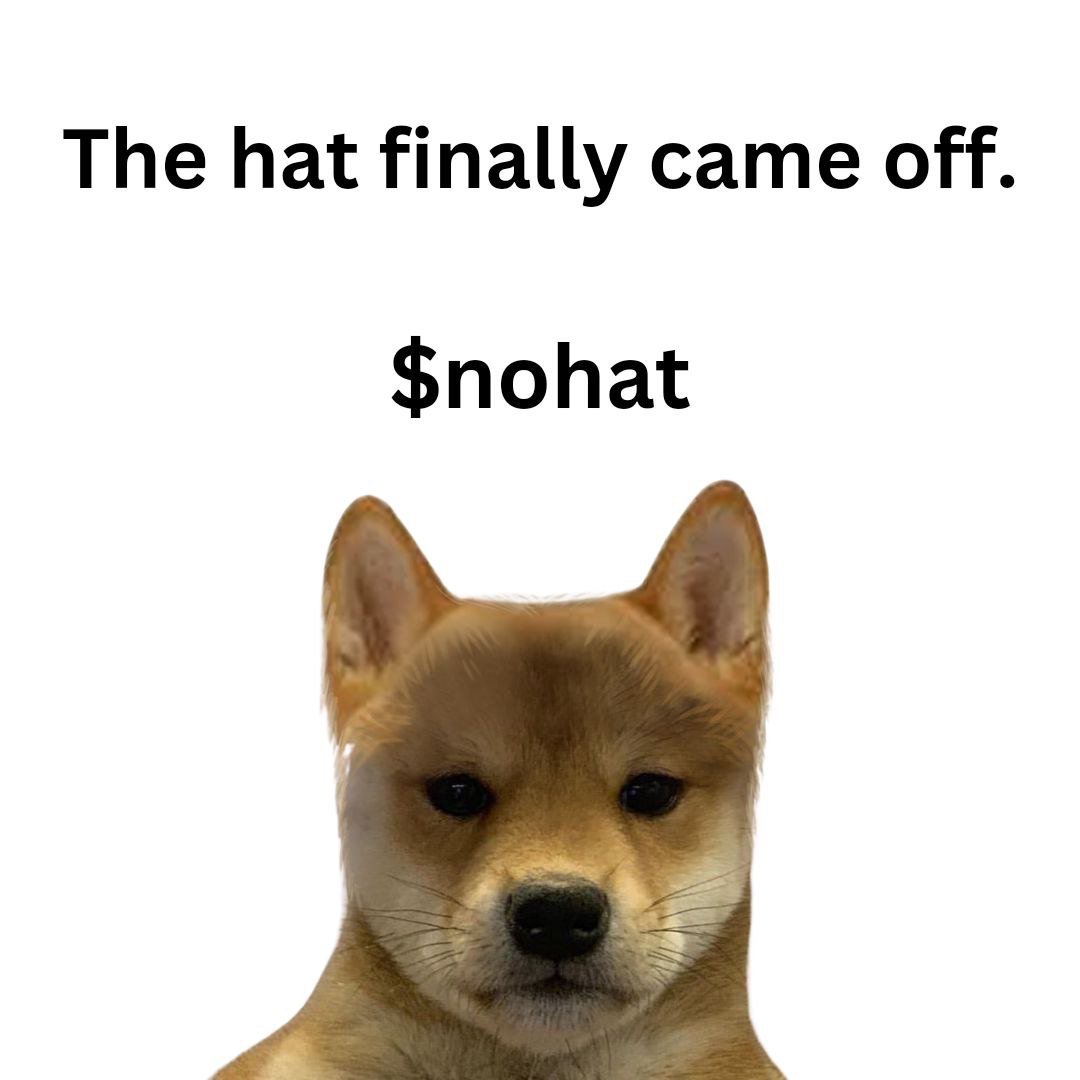 nohatsolana's tweet photo. @ianheinischmma Hey, we are leading a revolution
Check $NoHat on Solana https://t.co/ziqK0EBqVN