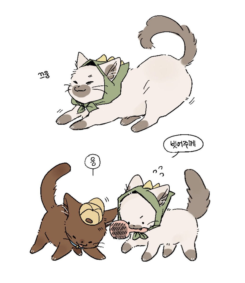 sugg1ng's tweet photo. 아기 애옹이들🐱 https://t.co/7mvhbeTVR5