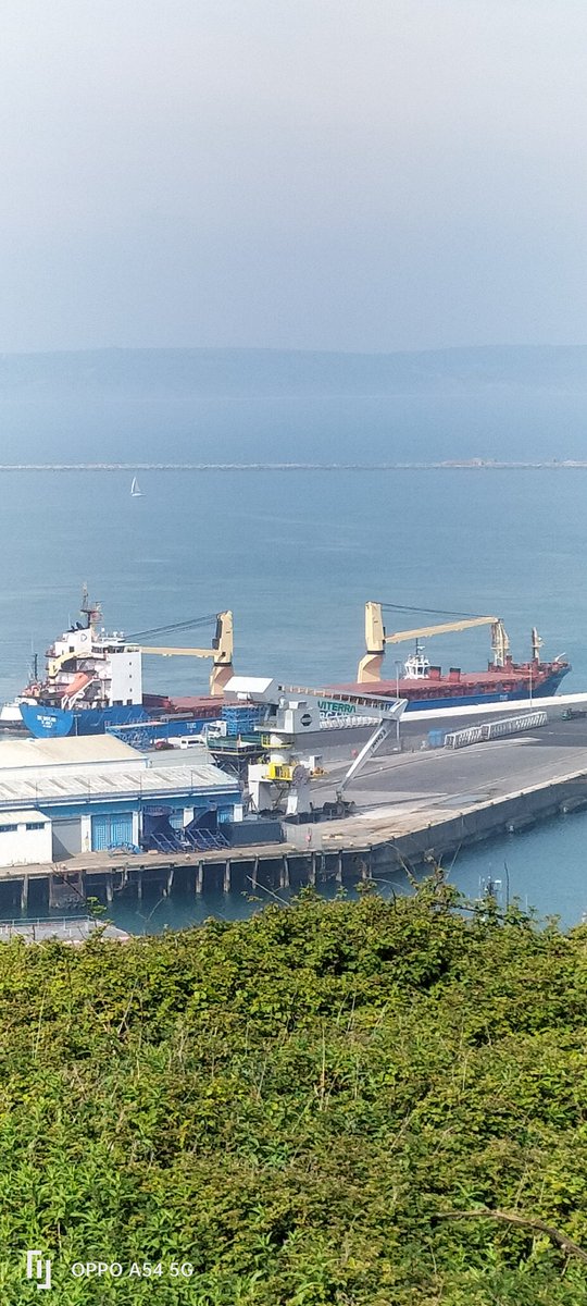 AytonJustyn's tweet photo. Boycott portland port 🇦🇬 BBC Maryland 🇦🇬 in #portland on 11/5/24.A Bulk Carrier. #Weymouth #dorset  #BulkCarrier #ships #shipping #Shipsphotography #photography #shipslnpics #shipspotting #BbcMaryland #BbcChartering #Antiguabarbuda https://t.co/5k1VD1eyn6