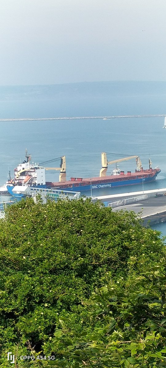 AytonJustyn's tweet photo. Boycott portland port 🇦🇬 BBC Maryland 🇦🇬 in #portland on 11/5/24.A Bulk Carrier. #Weymouth #dorset  #BulkCarrier #ships #shipping #Shipsphotography #photography #shipslnpics #shipspotting #BbcMaryland #BbcChartering #Antiguabarbuda https://t.co/5k1VD1eyn6