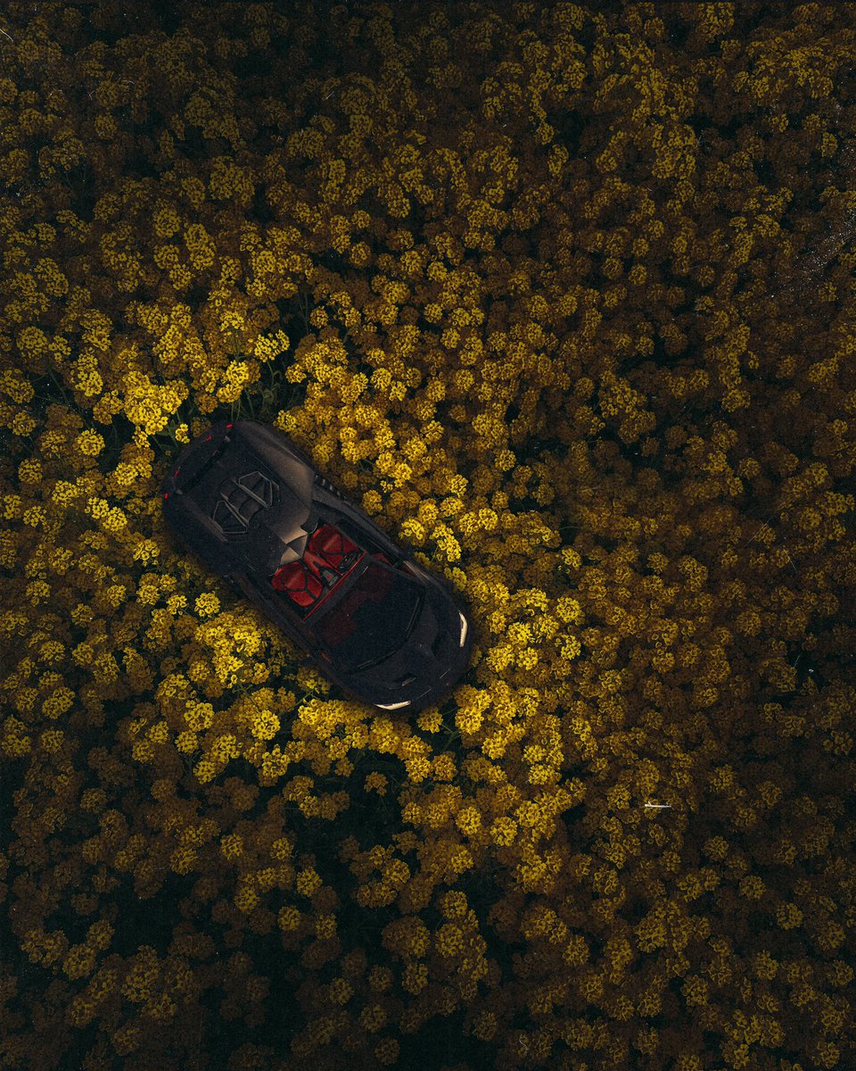 Reminds me of this 3D art I made
🌼🌻