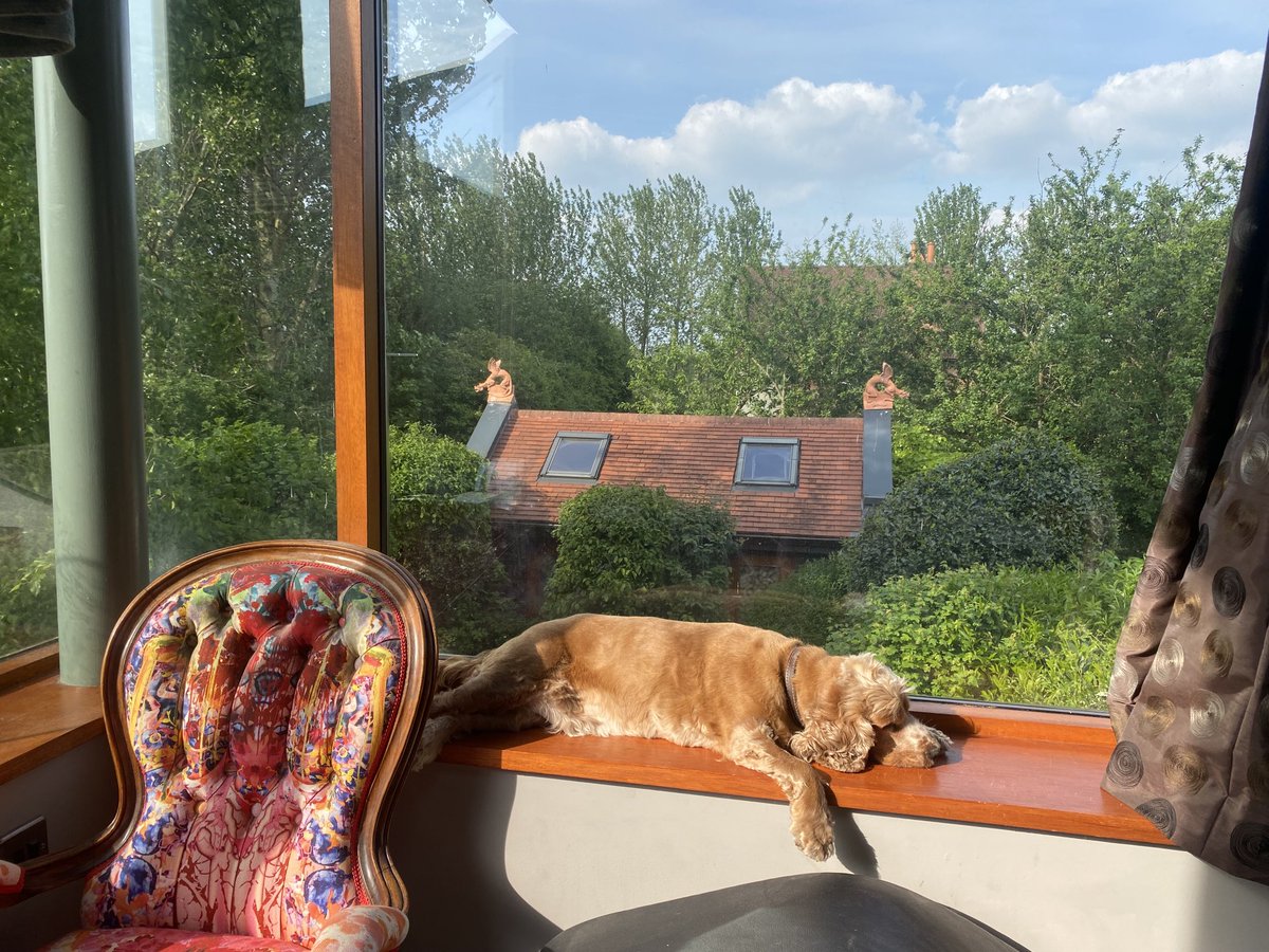 <a href="/snookarchitects/">neil dawson</a> summertime and the living is easy 🤗