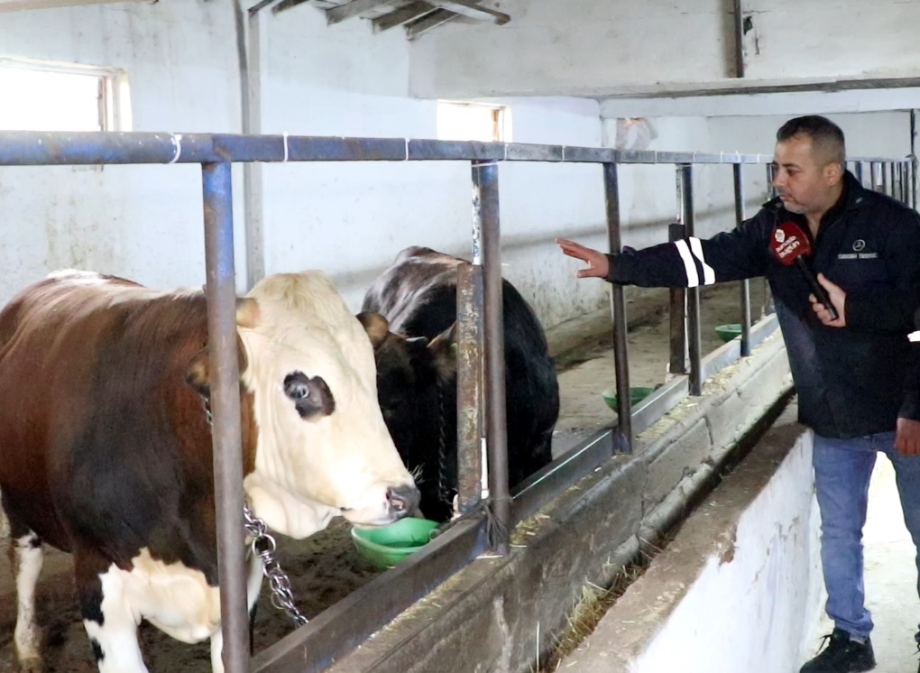 Dini bayramların 2.si olan Kurban Bayramı'na yaklaşık 1 ay kadar süre kalırken, ibadetini yerine getirmek isteyen vatandaşlarda kurbanlık arayışını sürdürüyor. Peki kurban alırken en çok nelere dikkat etmeliyiz? Satılan her hayvandan kurban olur mu? Haberi…