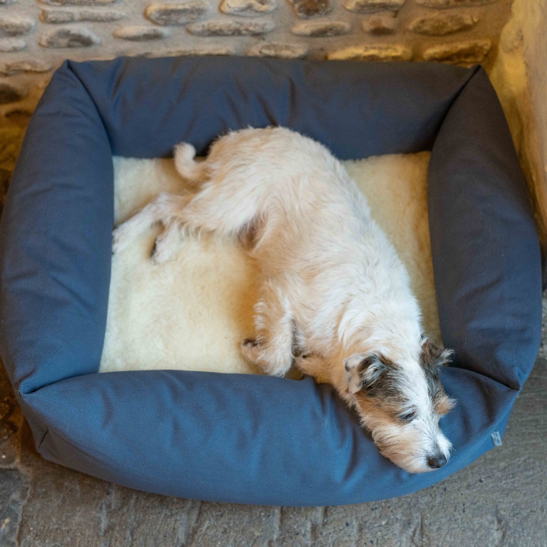 Squidgy, supportive, pillowy and plump. We present the perfect bolster height and filling for doggy dozing, serene sleep and draught-free dreaming. The new Burnham Bolster Bed and Wool Fleece Topper - a bed to love for life. SHOP: ow.ly/Wa4K50RzfBw #ruffandtumble