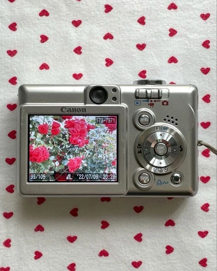 lovesickdoe's tweet photo. digital cameras https://t.co/3WOnBjaQbt