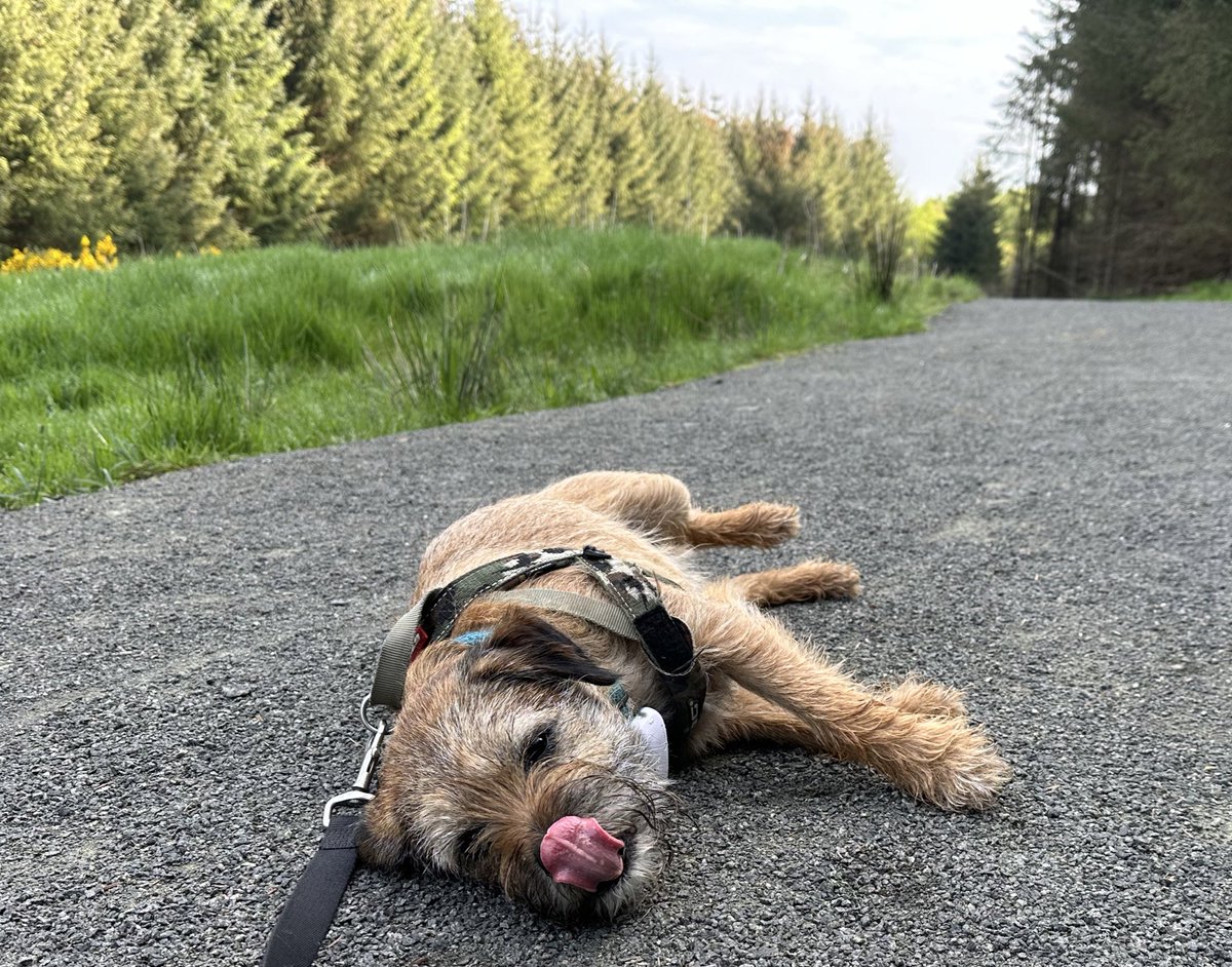 The season has begun- once you flop you can’t stop 😛 geez a treat mum #BTPosse