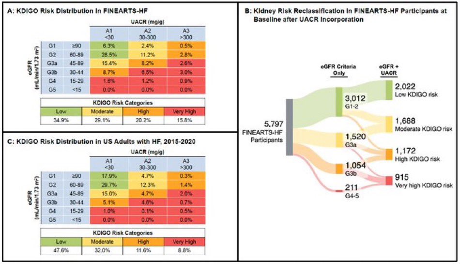 🔥 #HeartFailure2024 #SimPub in @JCardFail Generalizability of the Spectrum of Kidney Risk in the #FINEARTSHF Trial to US Adults with HF bit.ly/3UTfys8