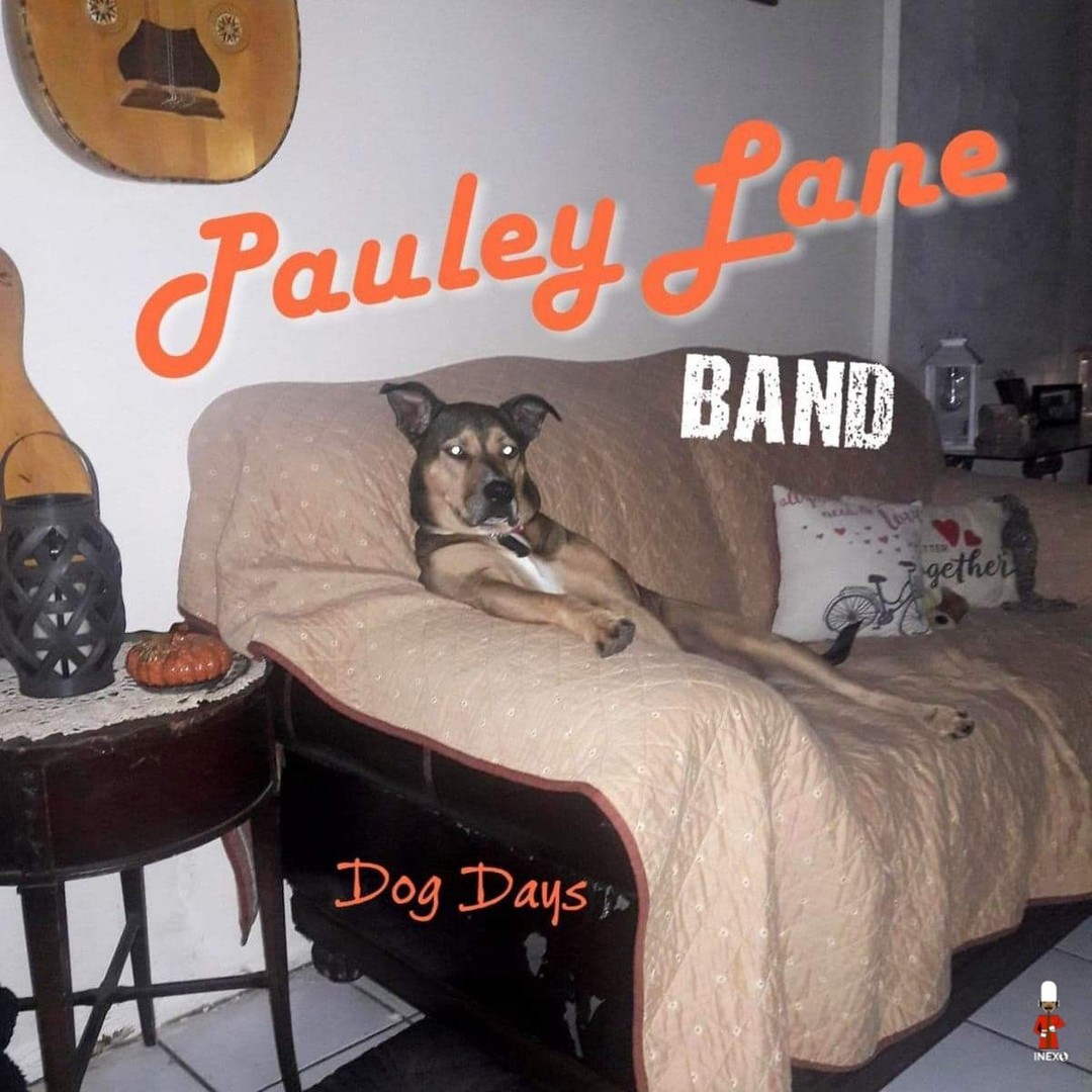 Listening to Drunk's & Fools by Pauley Lane Band on @PandoraMusic pandora.app.link/1OOKmR83vJb
