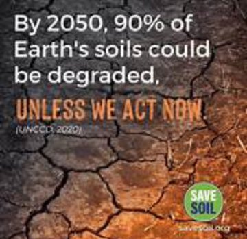 If we act now then we can very easily we can turn around the disaster.🙏🙏🙏🌱🌱🌱🌳🌳🌳🌲🌲🌲🌴🌴🌴
#SaveSoil 
#ConsciousPlanet  
@cpsavesoil