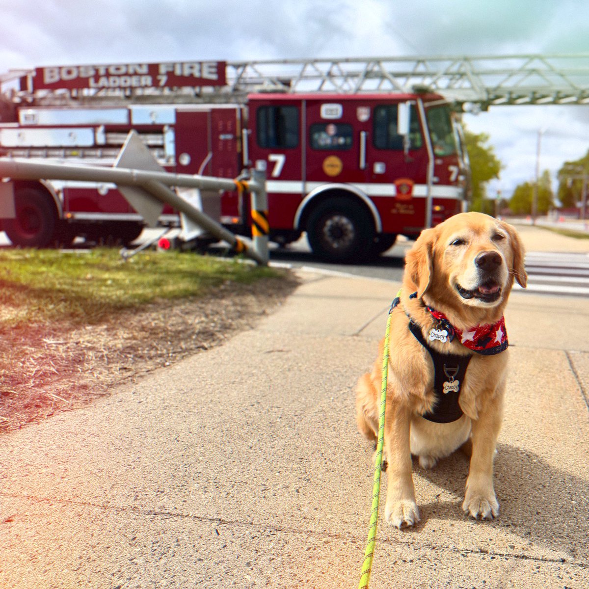 Garrett Bastable tweet media