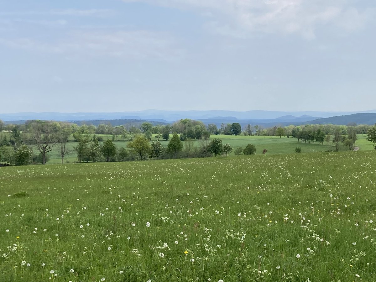 Wandertag: Oelsen-Oelsener Höhe-Spicak/Sattelberg-Oelsengrund-Oelsen