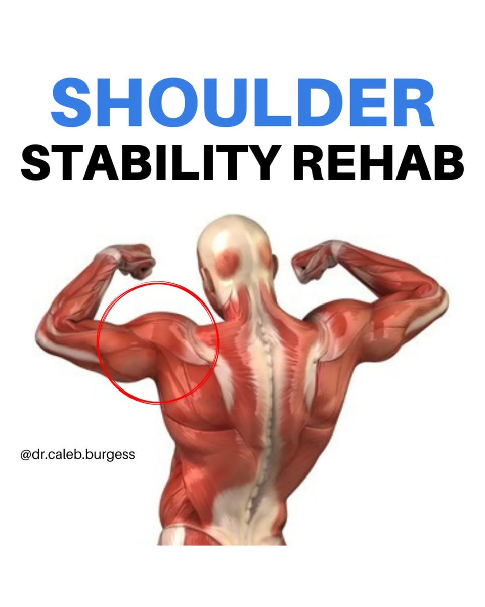 SHOULDER STABILITY EXERCISES