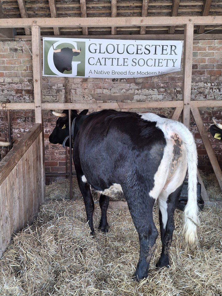 CandiaMcKormack's tweet image. #EricFest #EricFreeman