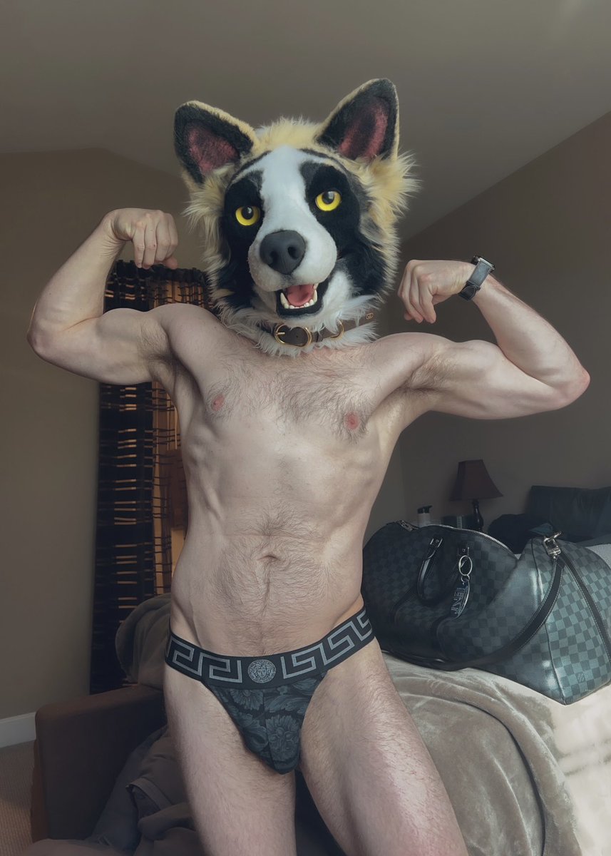 Rise and shine? CHECK 💪🐶✨