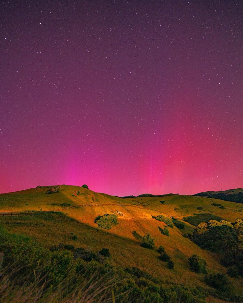 DoTheBay tweet media