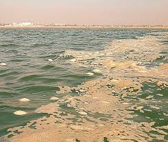 Michael Gove lied on TV by saying that Britain‘s water quality hasn’t gone down and that standards have gone up under Conservative Government.

RT if that liar needs to take a swim and a nice big gulp of that clean water.