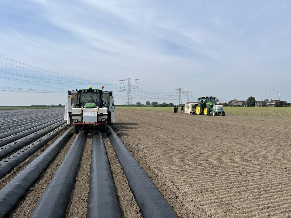 Op volle capaciteit planten vandaag!
