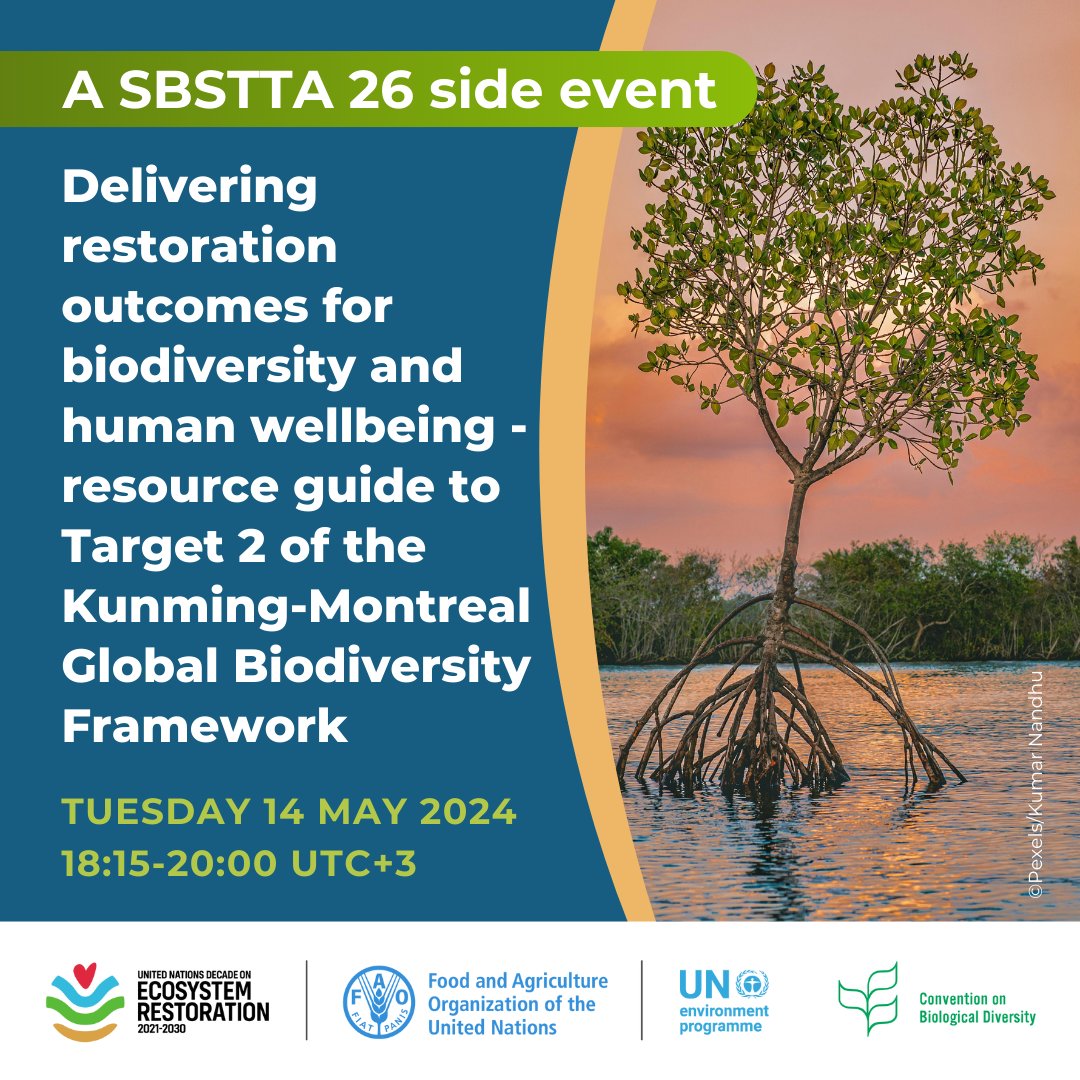 Join @FAO @UNBiodiversity & @UNEP for a #SBSTTA26 side event on Kunming-Montreal Global Biodiversity Framework Target 2 Delivering restoration outcomes for biodiversity & human wellbeing 🗓️ Tues 14 May 2024 ⏰18:15-20:00 UTC+3 👉 bit.ly/4dtf9nv #GenerationRestoration