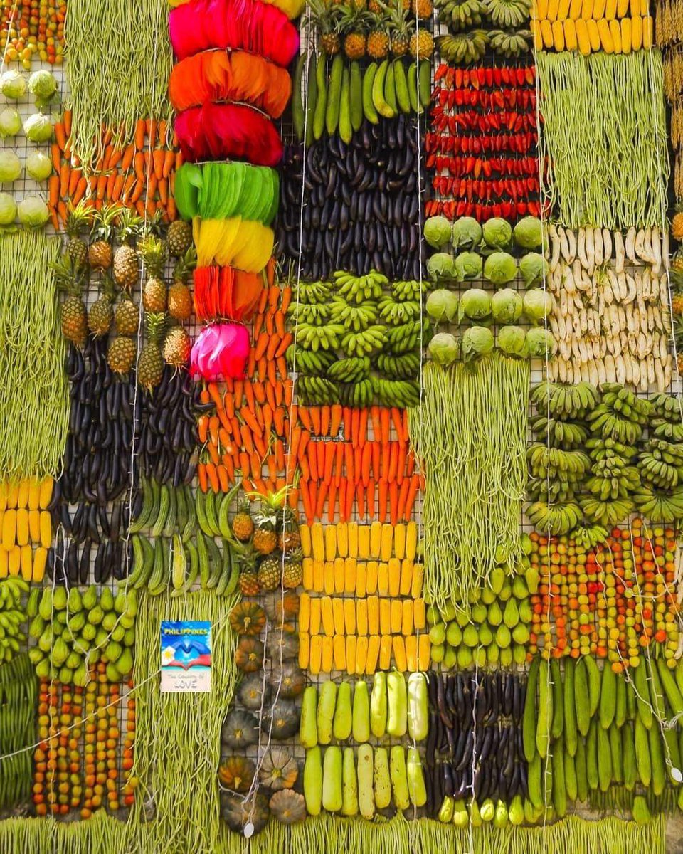 Ready na ang Lucban Pahiyas Festival 🌿☘️🍂

Bountiful Harvest for our farmers 🥬🥒🍆🌽🍅🥭

#PahiyasFestival #QuezonProvince #SanIsidroLabrador

ctto