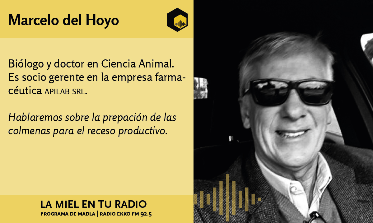 Entrevista a #MarcelodelHoyo, Dr. en ciencia animal y socio gerente en @Apilabsrl. En diferido bit.ly/ivoox-Lamielen…… lamielenturadio.com.ar @INTAInforma @EspacioApicola