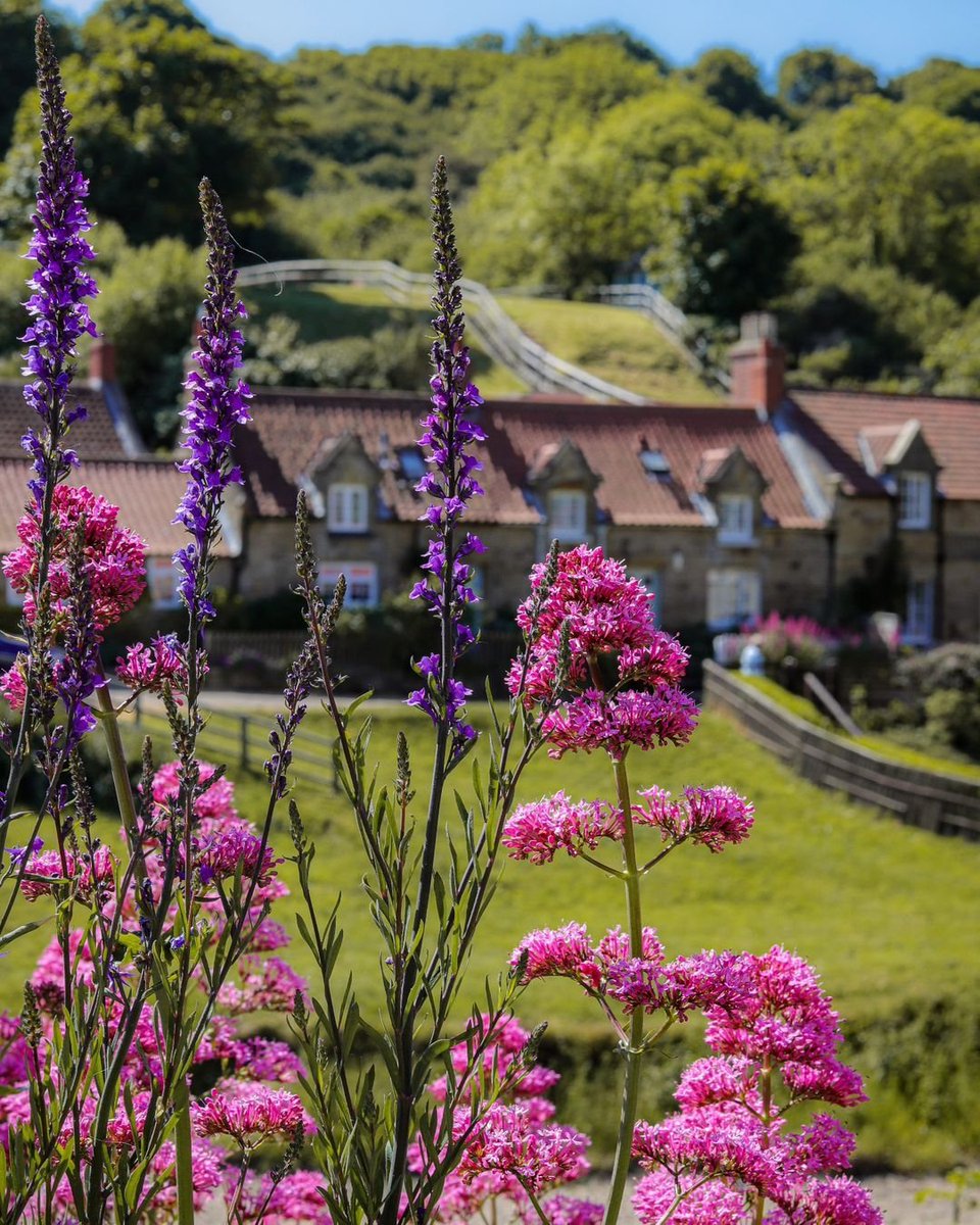 Sandsend 🌺💜