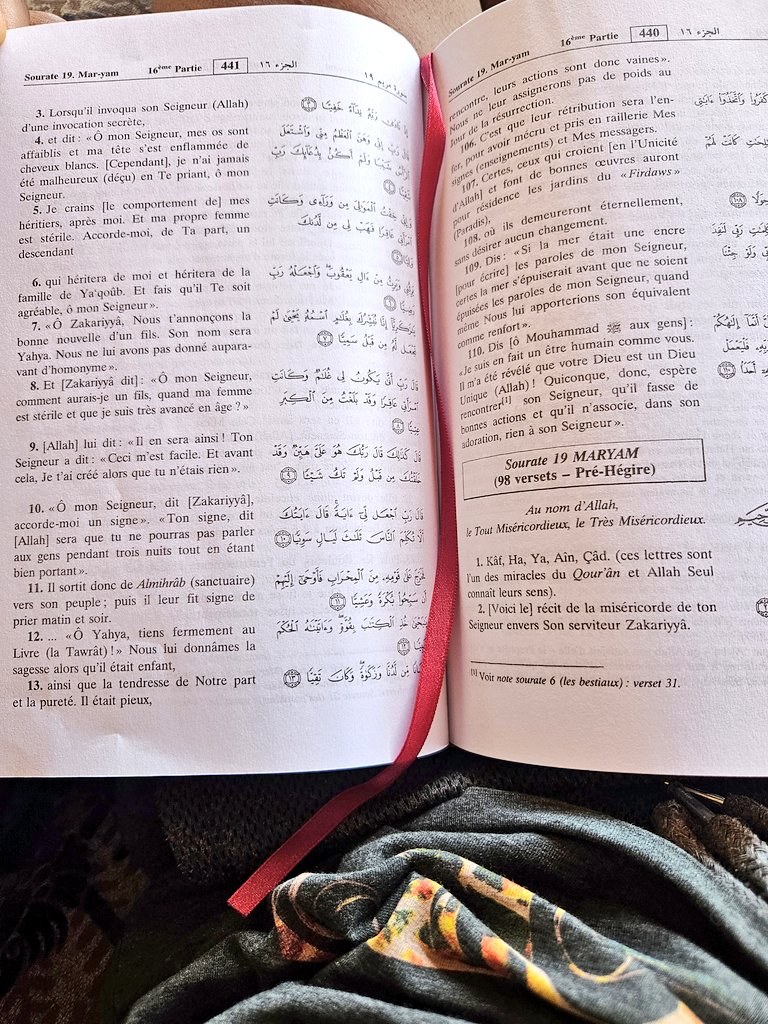 Allah a comblé de ses faveurs des prophètes et des descendants d'Adam, et aussi ceux en compagnie de Noûh, des descendants d'Ibrâhîm et d'Isrâ'îl, et bien d'autres qu'Il a guidés et choisis.