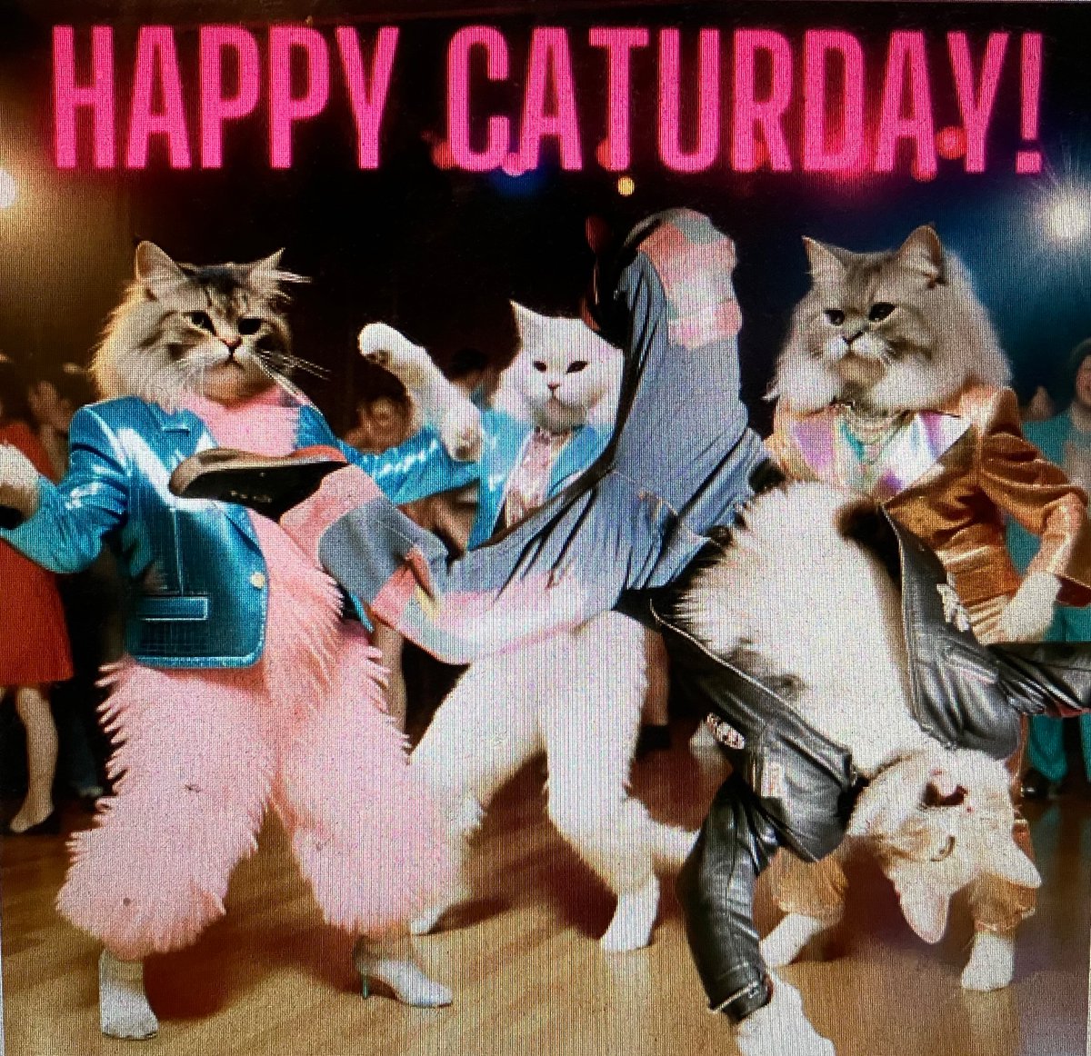 Happy Caturday darlings! #Caturday #HappyCaturday 
@MaryBroderson @PoemTrees @RobinOuzman @NicoMirallegro @taratara2 @Mirallegro @monkeyinabox @wwwPoet @LISUSuzy068 @SistahPoet @SeanMaxwell @PoetryLifeTimes @AmparoArrospide 😸 xx