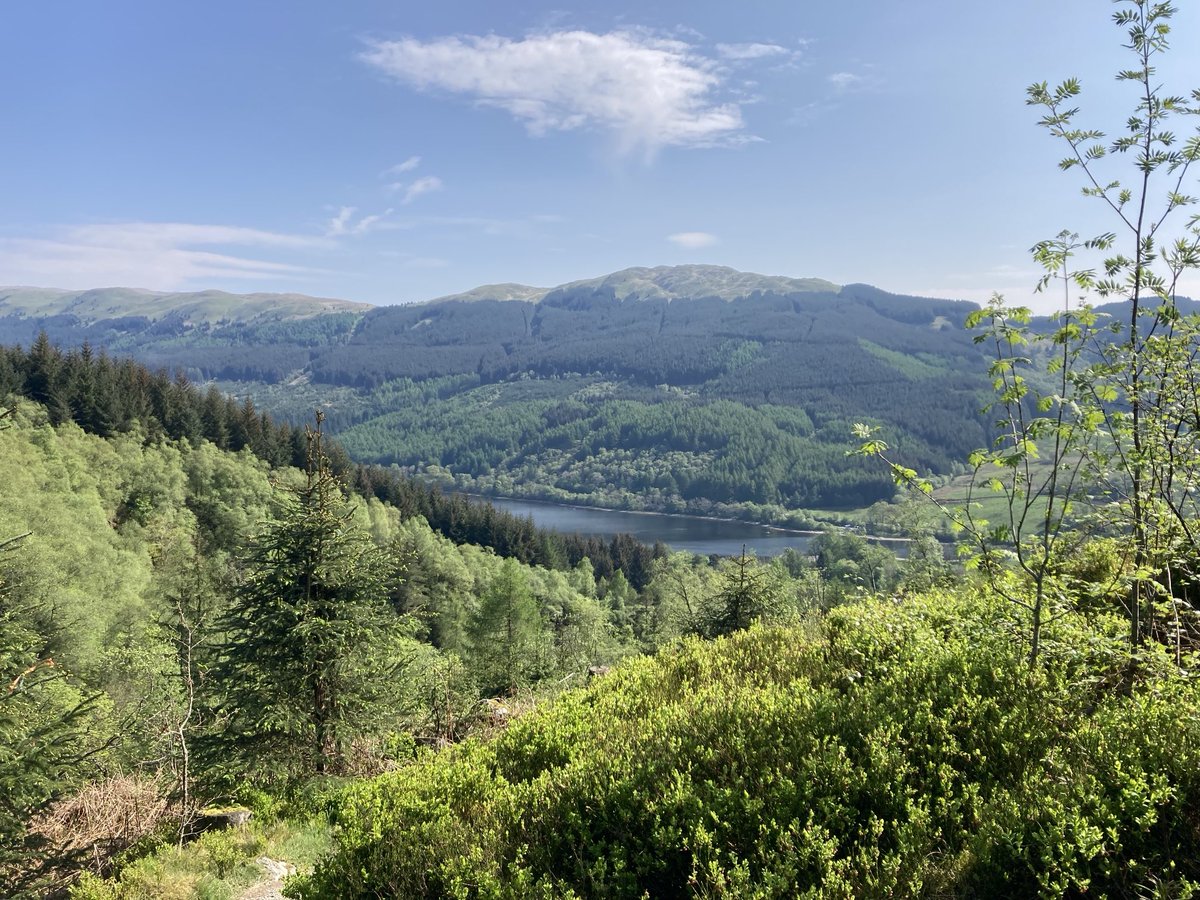 Dr David Watson tweet media