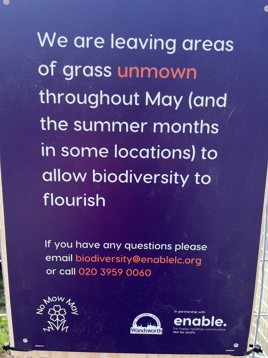 FFishponds's tweet photo. Don’t miss the flowers around the Fishponds Fields perimeter this month. They’re being left to grow as part of #nomowmay Thanks @enableLC 
#tooting #biodiversity @tootingnewsie https://t.co/Z3aO0CHofc