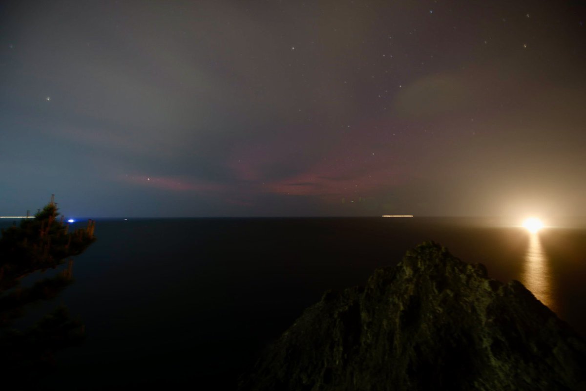 兵庫県香美町 観光商工課【公式】🌟香住(かすみ)🌟村岡(むらおか)🌟小代(おじろ) tweet media