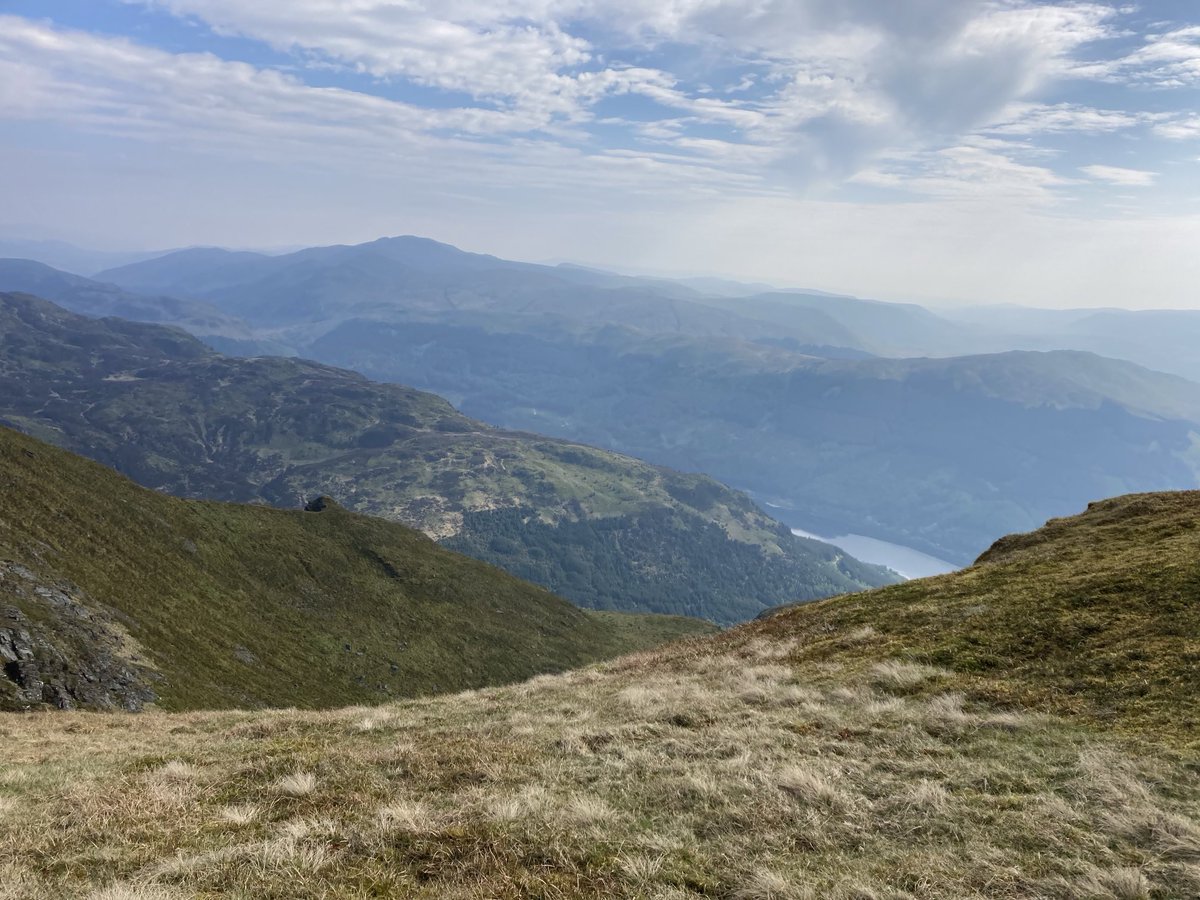 Dr David Watson tweet media