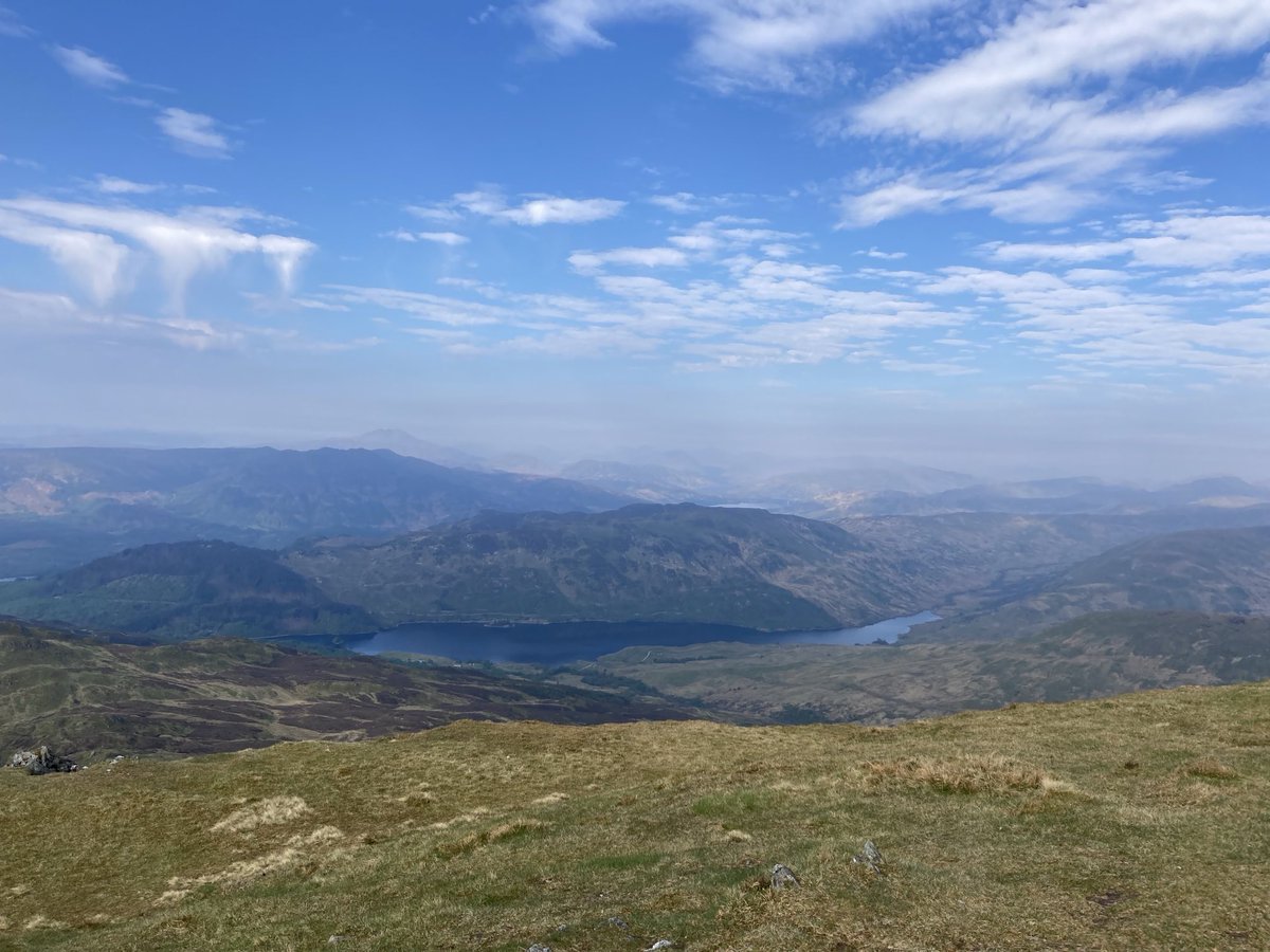 Dr David Watson tweet media