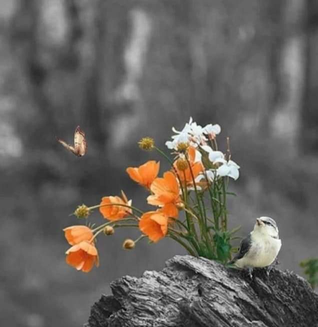 __Libra1's tweet photo. 🌹✰﷽✰🌹
🌹عائشہ سپیشل🌹
𝐅 𝐔𝗌 4🔙
#AP_G
@i4ug_
@_2voi_
@Bab1r
@icipk1 @27afg
@_Fs06 @S111_9🌹
@ami_4i
@P_rvn0
@11ain_a
@Ab_axi @um_r_7
@kg_977 @dilse_1
@_sd786
@shz787
@adl883
@kubn_ @Trq88
@Im_wqr @Hvn_80
@pdk703 @Asjk2 🌹
@__Libra1 @aha_703 ©
@arimk28 @Shmi40 https://t.co/DE3CazPPiz