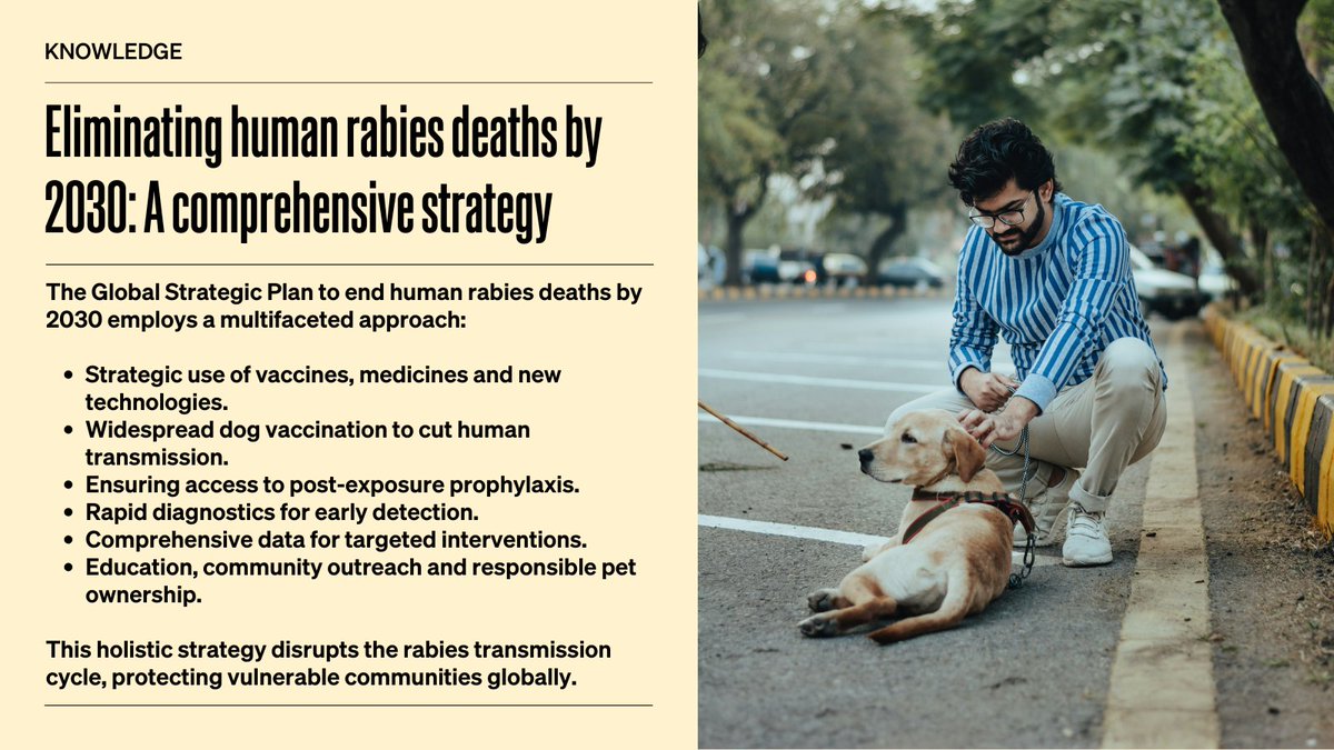 #OneHealth is essential to eliminating rabies by 2030. A Strategic Plan for Fighting this Disease advocates strategically using vaccines, medications and technologies. Education, community involvement & responsible pet ownership are crucial. Learn more: bulletin.woah.org/?p=4466