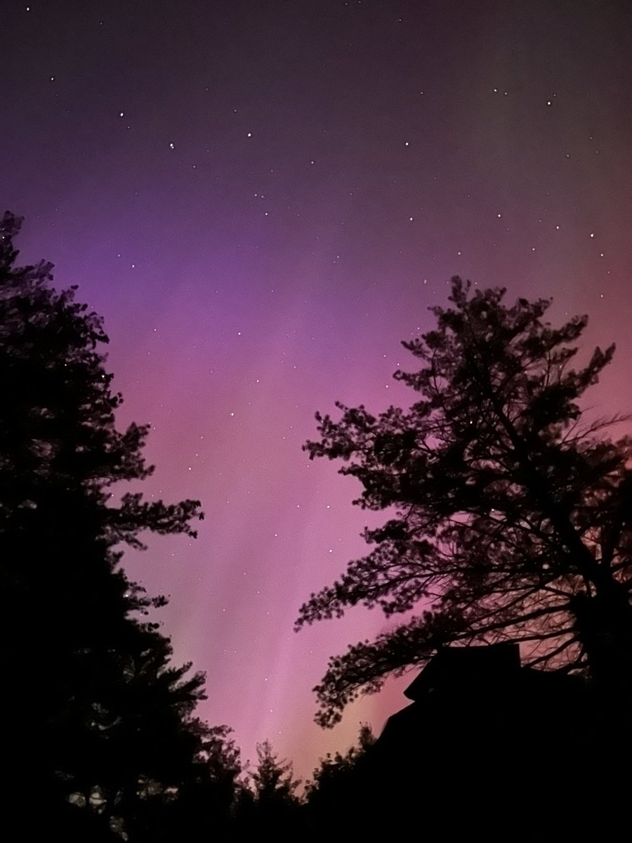 dmyosko's tweet photo. northern lights 📍grant township, MI. https://t.co/ANSfH13DG1