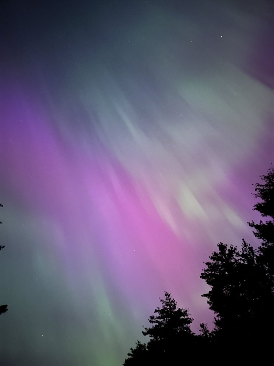 dmyosko's tweet photo. northern lights 📍grant township, MI. https://t.co/ANSfH13DG1