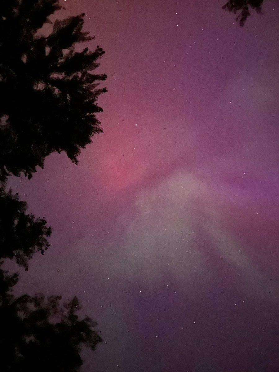 dmyosko's tweet photo. northern lights 📍grant township, MI. https://t.co/ANSfH13DG1