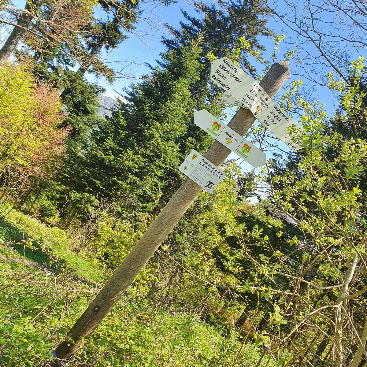 Barbora 🇺🇦 tweet media