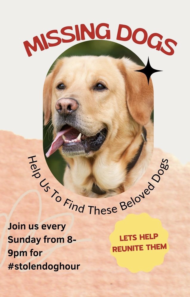 Please join us tomorrow Sunday 12th May 2024 and every Sunday from 8-9pm for #stolendoghour  
An hour dedicated to tweeting for stolen and missing #dogs to help reunite & also raise awareness of this issue. 
All welcome, thank you for your support 🙏💕🐾
 #stolendogs #missingdogs