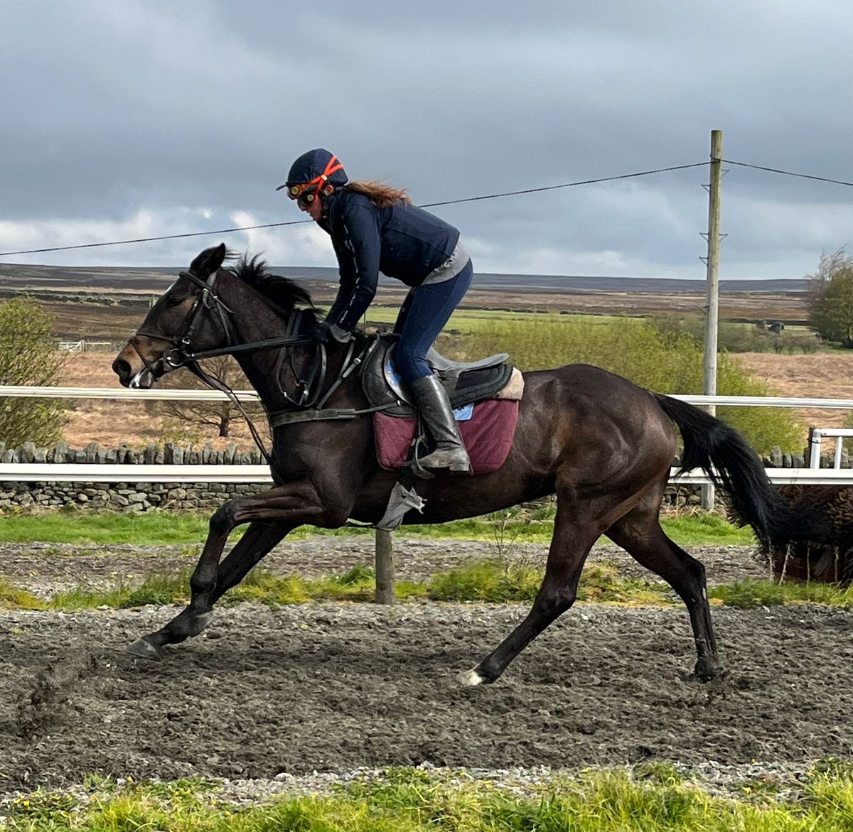 We have two runners today @HexhamRaces. Paddy O'Mahler (5.45) and Squiggles (6.45)both will be ridden by @TomMidgley4. #SSRacing 🏇.